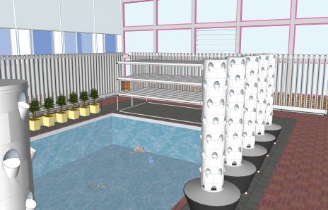 魚菜共生系統Aquaponics System